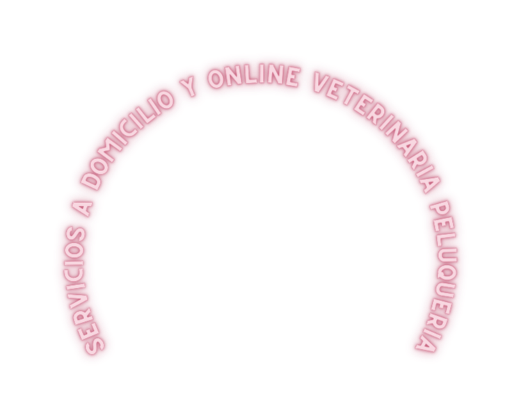 Servicios a domicilio y online veteRinaria peluqueria